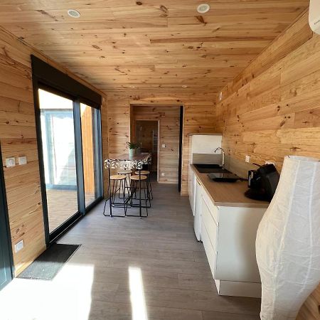 Chalet Contemporain Монтобан Экстерьер фото